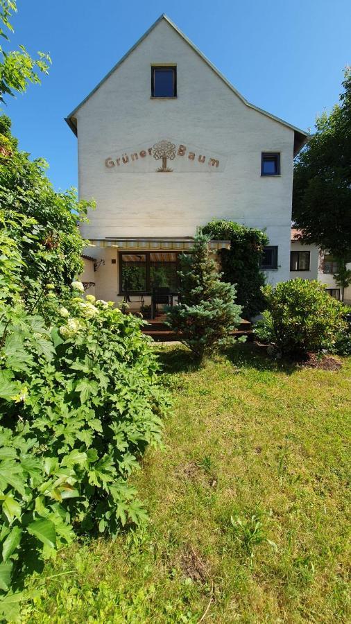 Gasthof Gruener Baum Kirchberg am Wechsel Exterior foto