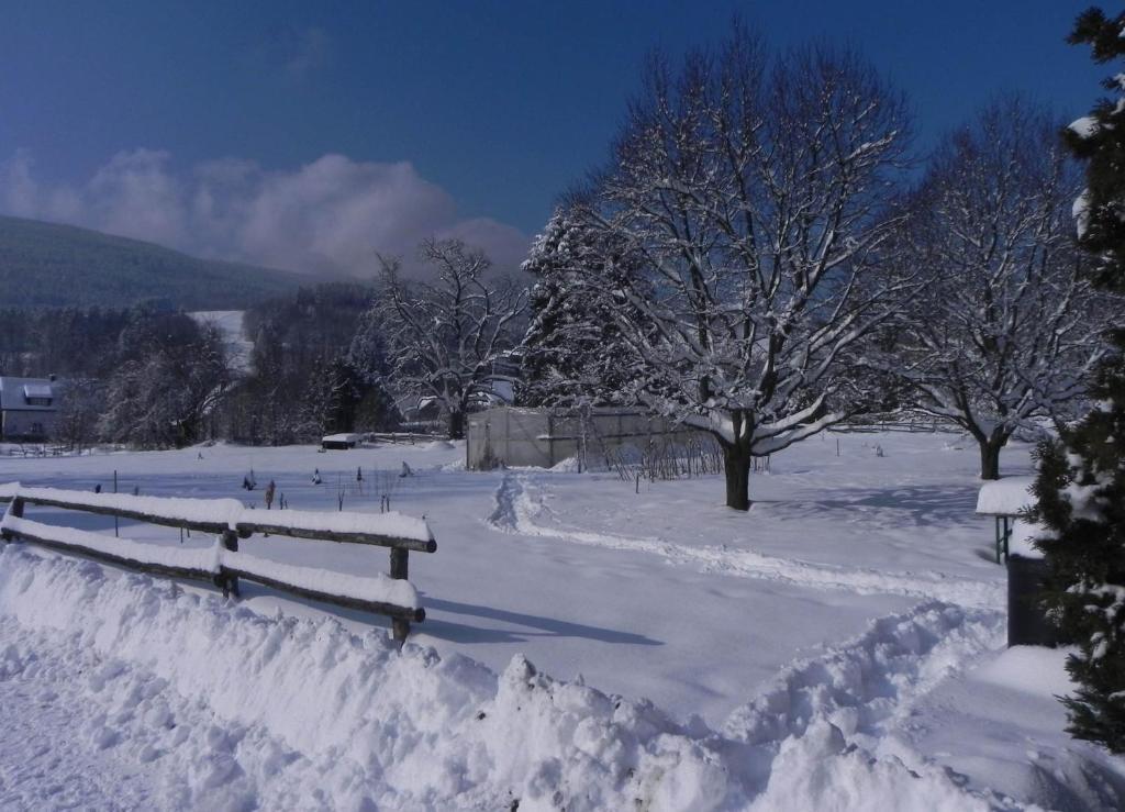 Gasthof Gruener Baum Kirchberg am Wechsel Exterior foto