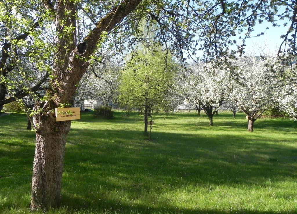 Gasthof Gruener Baum Kirchberg am Wechsel Exterior foto