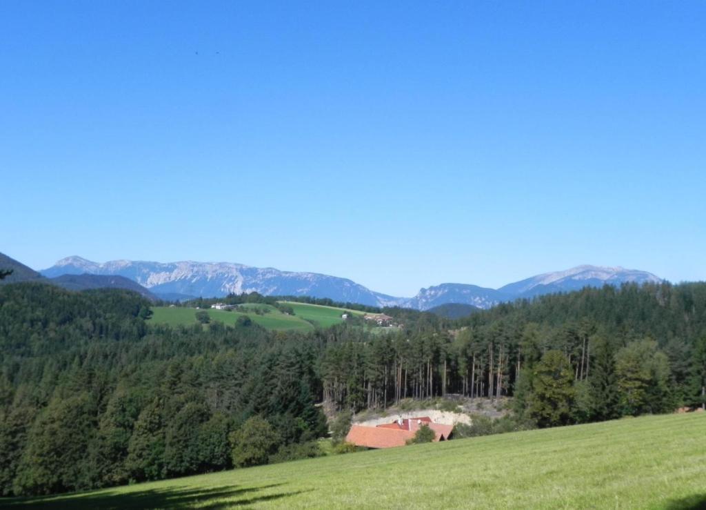 Gasthof Gruener Baum Kirchberg am Wechsel Exterior foto